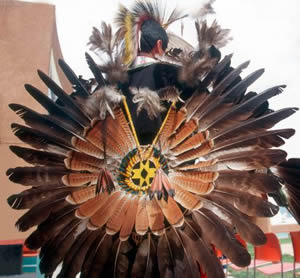 Native American Feathers